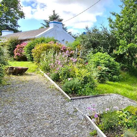 The Rockhouse - Cosy Stone Built Thatch Cottage Dungloe Exteriör bild
