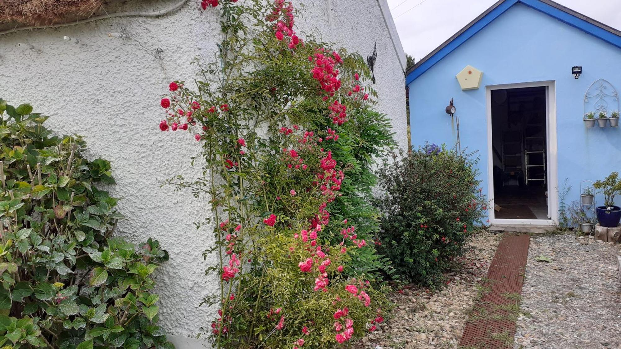 The Rockhouse - Cosy Stone Built Thatch Cottage Dungloe Exteriör bild